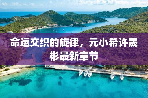 命運(yùn)交織的旋律，元小希許晟彬最新章節(jié)