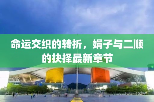 命運(yùn)交織的轉(zhuǎn)折，娟子與二順的抉擇最新章節(jié)