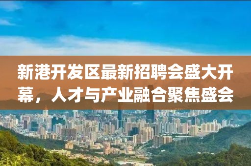 新港開發(fā)區(qū)最新招聘會盛大開幕，人才與產(chǎn)業(yè)融合聚焦盛會