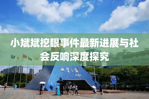 小斌斌挖眼事件最新進(jìn)展與社會(huì)反響深度探究