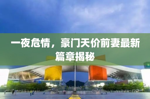 一夜危情，豪門天價(jià)前妻最新篇章揭秘