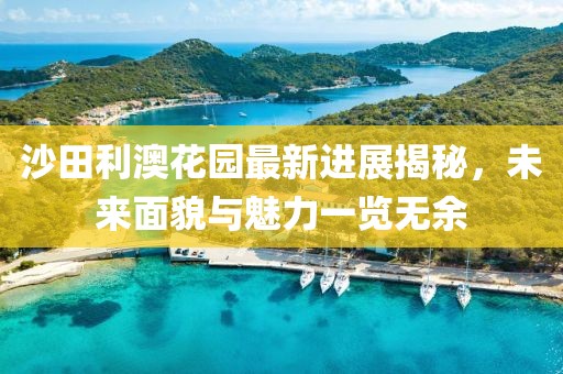 沙田利澳花園最新進展揭秘，未來面貌與魅力一覽無余