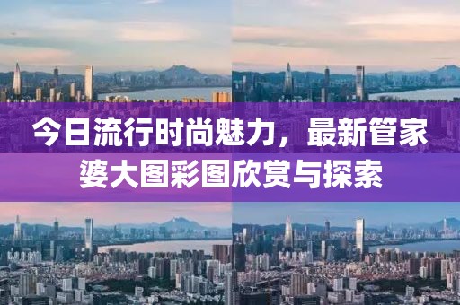 今日流行時尚魅力，最新管家婆大圖彩圖欣賞與探索