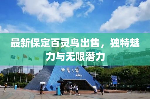 最新保定百靈鳥出售，獨(dú)特魅力與無限潛力