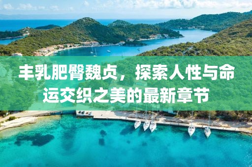 豐乳肥臀魏貞，探索人性與命運交織之美的最新章節(jié)