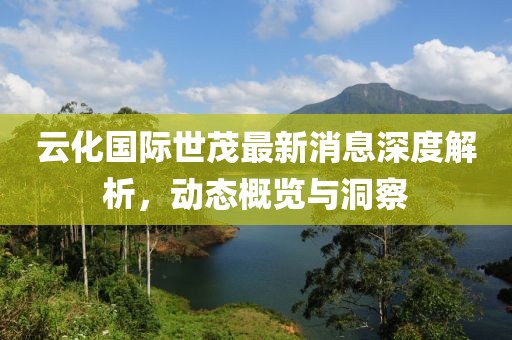云化國(guó)際世茂最新消息深度解析，動(dòng)態(tài)概覽與洞察