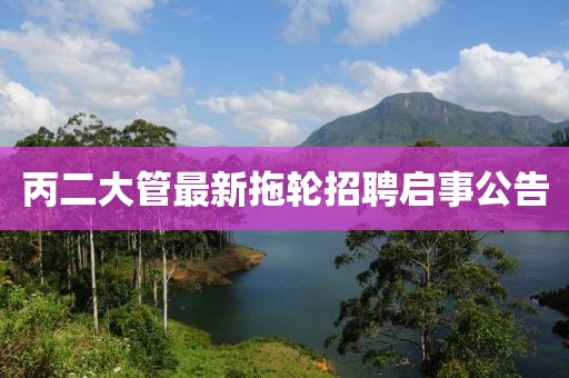 丙二大管最新拖輪招聘啟事公告