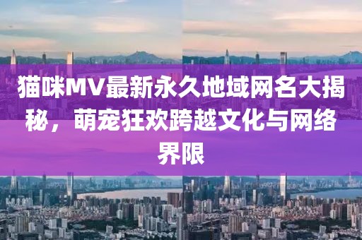貓咪MV最新永久地域網(wǎng)名大揭秘，萌寵狂歡跨越文化與網(wǎng)絡(luò)界限