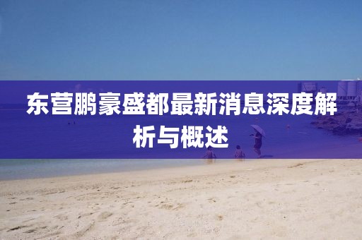 東營(yíng)鵬豪盛都最新消息深度解析與概述