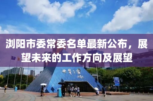 瀏陽市委常委名單最新公布，展望未來的工作方向及展望