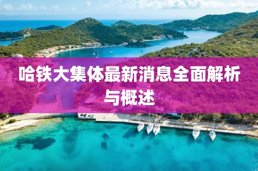 哈鐵大集體最新消息全面解析與概述