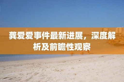 龔愛愛事件最新進展，深度解析及前瞻性觀察