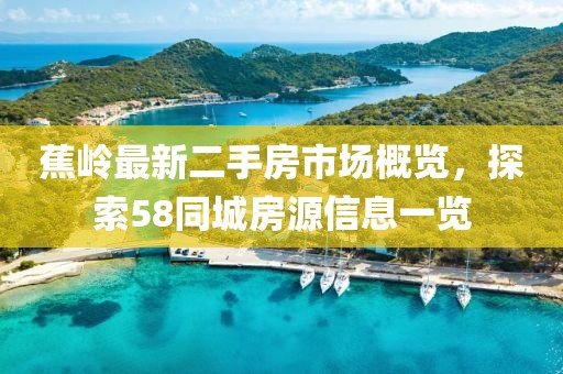 蕉嶺最新二手房市場概覽，探索58同城房源信息一覽