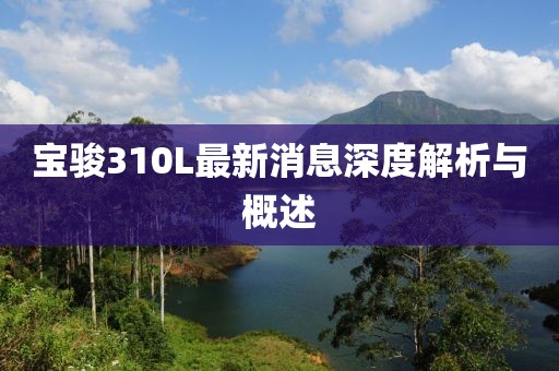 寶駿310L最新消息深度解析與概述