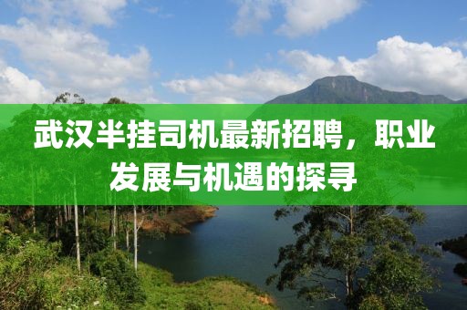 武漢半掛司機(jī)最新招聘，職業(yè)發(fā)展與機(jī)遇的探尋