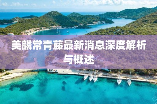 美麟常青藤最新消息深度解析與概述