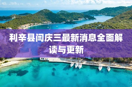 利辛縣閆慶三最新消息全面解讀與更新