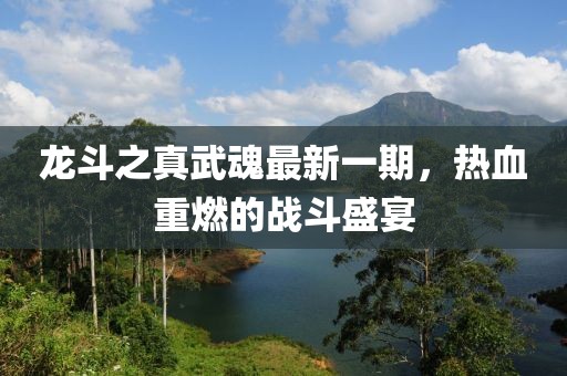 龍斗之真武魂最新一期，熱血重燃的戰(zhàn)斗盛宴