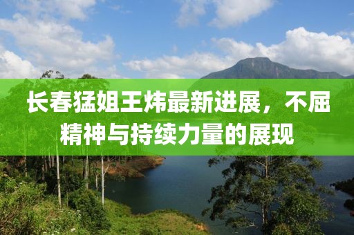 長(zhǎng)春猛姐王煒最新進(jìn)展，不屈精神與持續(xù)力量的展現(xiàn)