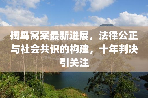 掏鳥窩案最新進展，法律公正與社會共識的構建，十年判決引關注