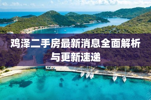 雞澤二手房最新消息全面解析與更新速遞