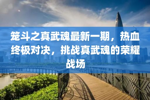 籠斗之真武魂最新一期，熱血終極對決，挑戰(zhàn)真武魂的榮耀戰(zhàn)場