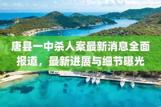 唐縣一中殺人案最新消息全面報道，最新進展與細節(jié)曝光