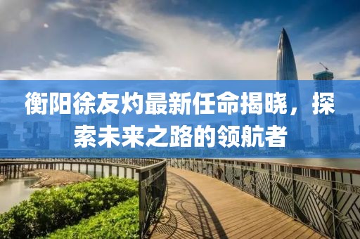 衡陽徐友灼最新任命揭曉，探索未來之路的領(lǐng)航者