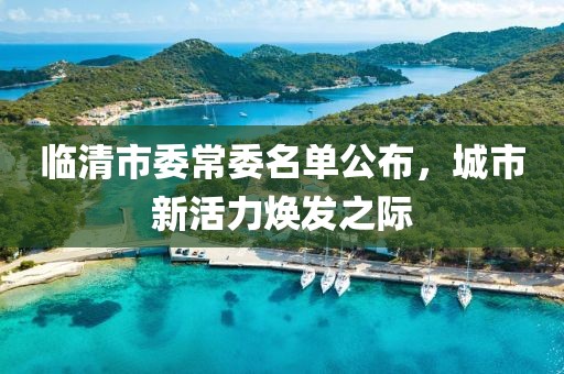 臨清市委常委名單公布，城市新活力煥發(fā)之際
