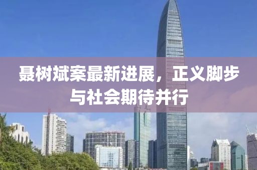 聶樹斌案最新進展，正義腳步與社會期待并行
