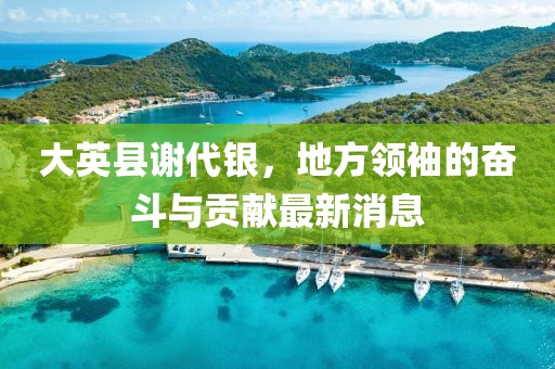大英縣謝代銀，地方領(lǐng)袖的奮斗與貢獻(xiàn)最新消息