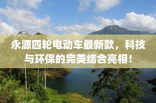 永源四輪電動車最新款，科技與環(huán)保的完美結(jié)合亮相！