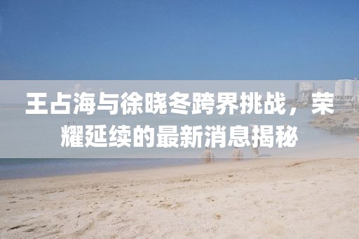 王占海與徐曉冬跨界挑戰(zhàn)，榮耀延續(xù)的最新消息揭秘