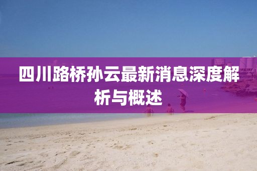 四川路橋?qū)O云最新消息深度解析與概述