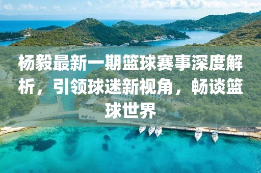 楊毅最新一期籃球賽事深度解析，引領(lǐng)球迷新視角，暢談籃球世界