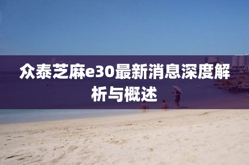 眾泰芝麻e30最新消息深度解析與概述