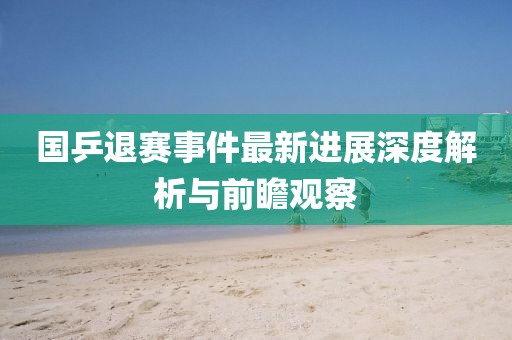 國乒退賽事件最新進展深度解析與前瞻觀察