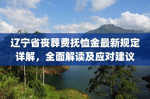 遼寧省喪葬費(fèi)撫恤金最新規(guī)定詳解，全面解讀及應(yīng)對(duì)建議