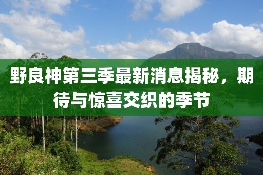 野良神第三季最新消息揭秘，期待與驚喜交織的季節(jié)