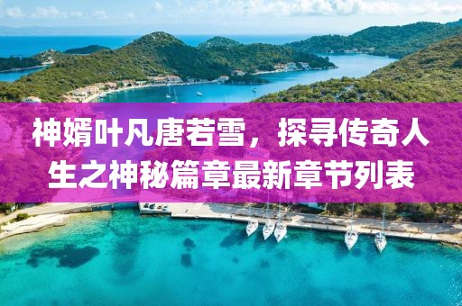 神婿葉凡唐若雪，探尋傳奇人生之神秘篇章最新章節(jié)列表