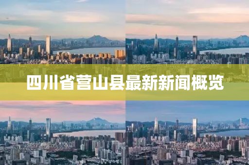 四川省營山縣最新新聞概覽