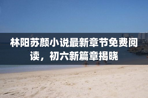 林陽蘇顏小說最新章節(jié)免費閱讀，初六新篇章揭曉