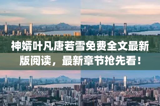 神婿葉凡唐若雪免費全文最新版閱讀，最新章節(jié)搶先看！