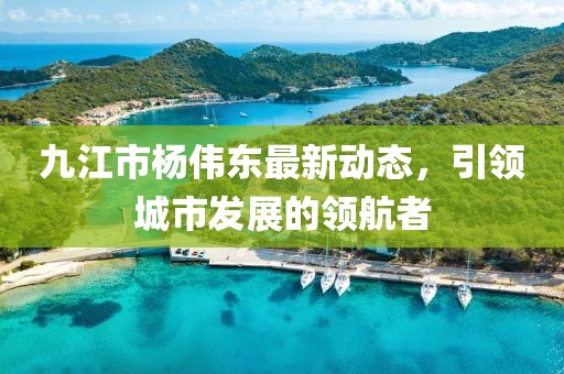 九江市楊偉東最新動態(tài)，引領(lǐng)城市發(fā)展的領(lǐng)航者