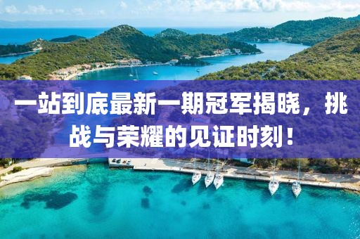 一站到底最新一期冠軍揭曉，挑戰(zhàn)與榮耀的見(jiàn)證時(shí)刻！