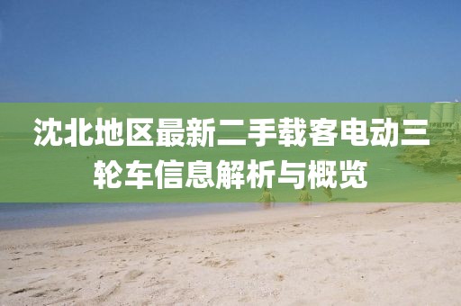 沈北地區(qū)最新二手載客電動三輪車信息解析與概覽