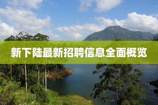 新下陸最新招聘信息全面概覽