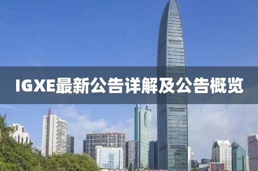 IGXE最新公告詳解及公告概覽