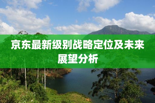 京東最新級(jí)別戰(zhàn)略定位及未來(lái)展望分析
