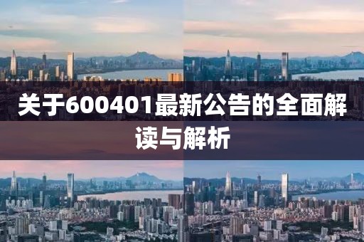 關于600401最新公告的全面解讀與解析